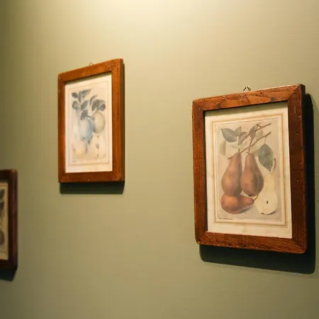 Alkiona Cozy Mountain Retreat With Stunning Views By Greece Apartmán *