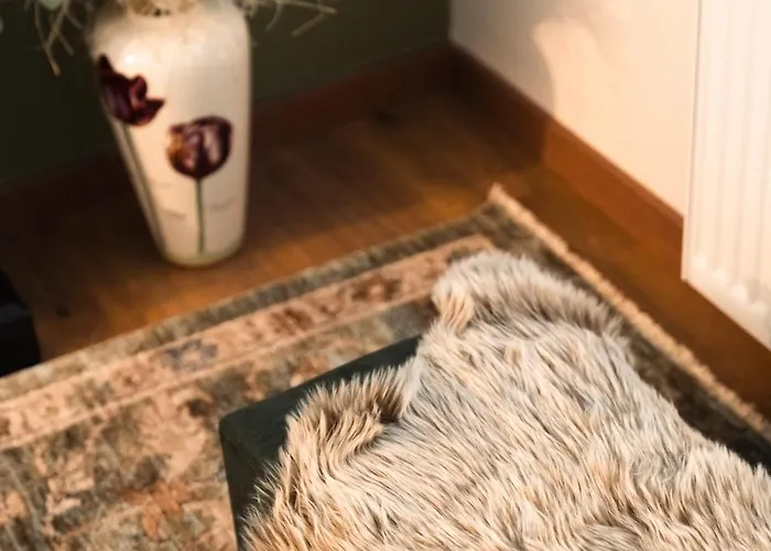 Alkiona Cozy Mountain Retreat With Stunning Views By Greece